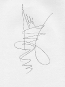 fancy-line-drawing-07