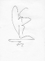 fancy-line-drawing-13
