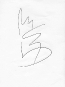 fancy-line-drawing-14