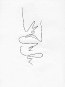 fancy-line-drawing-15