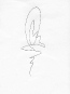 fancy-line-drawing-16