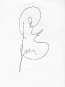 fancy-line-drawing-18